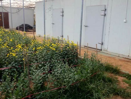 施工現(xiàn)場(chǎng)