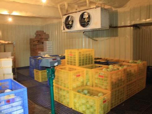 水果冷庫