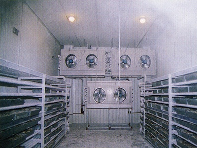 速凍水餃冷庫(kù)